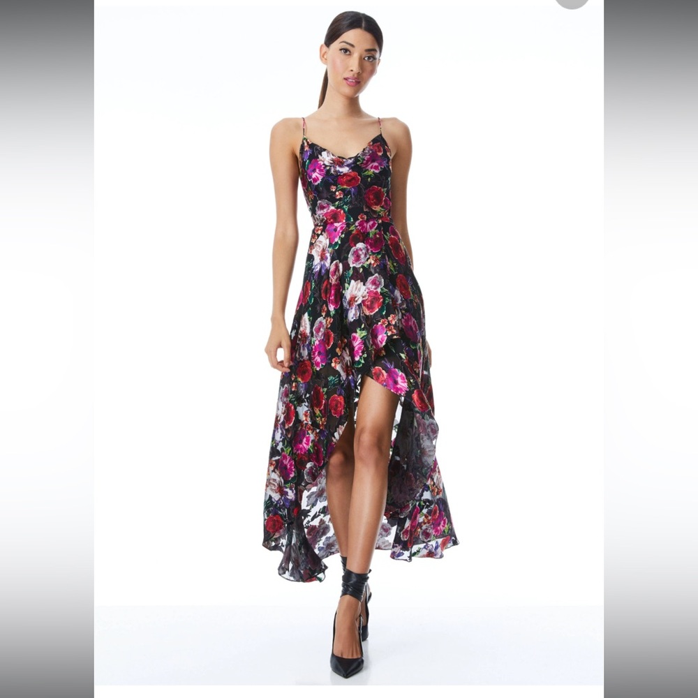 CHRISTINA HI LO DRESS - Alice + Olivia - MIDNIGHT ROSE - Size 4